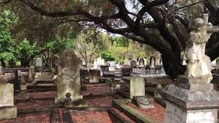 Nundah Historic Cemetery  Nundah Brisbane Queensland Australia Part 2 [upl. by Khan]