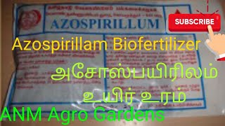 Azospirillum Biofertilizer [upl. by Akined336]