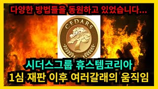 시더스그룹 휴스템코리아 1심 재판 이후 여러갈래의 움직임 [upl. by Enelrae]