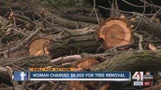 Tree trimming company charges woman 8000 for two trees [upl. by Iggam]