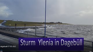 Sturmflut Ylenia am 17 Februar 2022 in Dagebüll [upl. by Dardani]