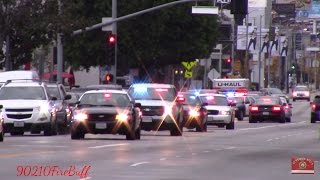 7x LAPD Slicktops amp Unmarked Units Responding Code 3 in Hollywood [upl. by Novad]