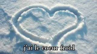 Celine Dion  Comme Un Coeur Froid Lyrics [upl. by Olnee]