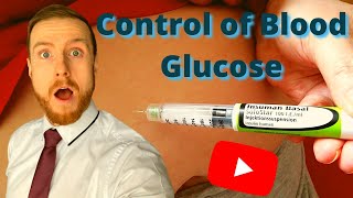 HOMEOSTASIS Control of Blood Glucose AQA ALevel Biology [upl. by Paulsen]