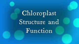 Chloroplast A Level Biology [upl. by Rehpotsirhk]