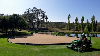 Its Looking Pure at Day 25  The Bentgrass Has Germinated [upl. by Nagiem]