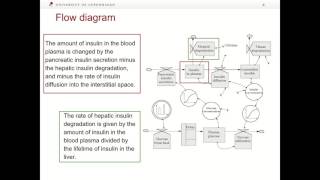 Mathematical modeling of physiological systems Insulinglucose regulation Part 1 [upl. by Atenaz]