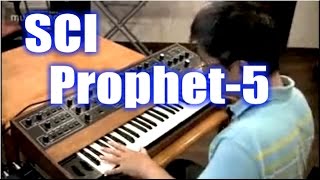 SCI Prophet5 DemoampReview English Captions [upl. by Saqaw]