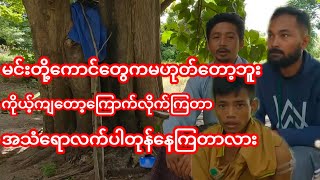 ကြောက်တာအသံရောလက်ပါတုန်နေရော [upl. by Harikahs154]