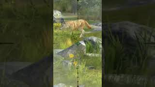 HUNTING Northwestern Wolf ⭐️⭐️⭐️⭐️⭐️⭐️Hunting Clash gaming huntingclash gameplay games [upl. by Ealasaid879]