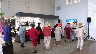 Steppin Grannies of Fort Worth TX [upl. by Mourant144]