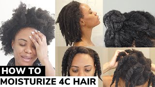 The ONLY Video You Need on How to Moisturize DRY 4C Natural Hair  DETAILED TUTORIAL 🙌🏽 💦 [upl. by Bastian]