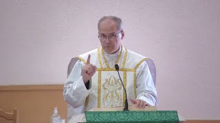 quotSpiritual Blindnessquot  Homily  Friday September 13 2024  by Fr Steven [upl. by Aicilas]