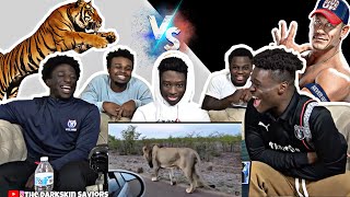 ANIMALS VS HUMANS COMPILATION REACTION [upl. by Elrahc509]