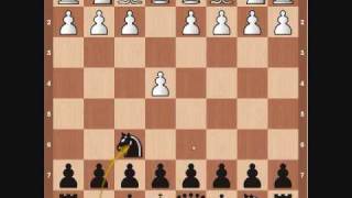 Chess Openings Alekhine Defense [upl. by Christensen998]