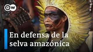 La Amazonía en peligro los pueblos originarios y su lucha por la selva  DW Documental [upl. by Stouffer]