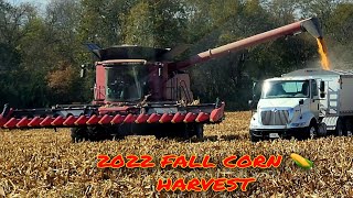 New Holland CR890 combine with Geringhoff 12 row folding corn head harvesting corn in Michigan [upl. by Stanwin199]