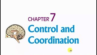 Control and Coordination  Class 10 Science  Ch 7 Part 1 [upl. by Lachance]