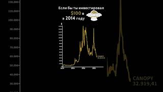 Я инвестировал 100 в Canopy Growth в 2014 investment money finance canopygrowth финансы [upl. by Riobard940]