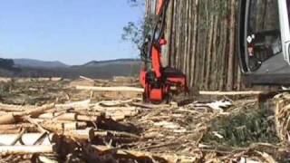 SP 591 LX on Hitachi Zaxis 200  Eucalyptus debarking in Howick South Africa [upl. by Adialeda504]