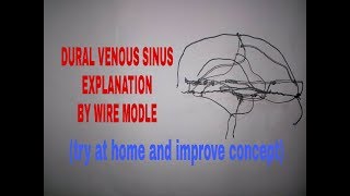 Venous sinuses of dura mater in 20 min on tips  TCML [upl. by Adnamma]