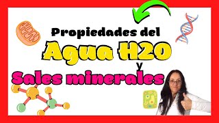 AGUA y SALES MINERALES 🧿▶ Biología SELECTIVIDAD Andalucía 2º Bachillerato [upl. by Jackelyn]