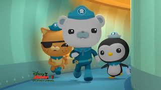 Octonauts Theme Song  Disney Junior US Airing [upl. by Ahtnama764]