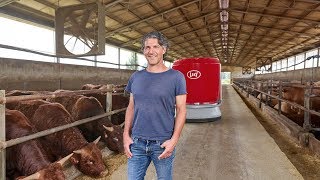 Lely Vector  Ingrassare i tori con lalimentazione automatica  IT [upl. by Limann]