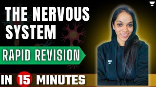 Nervous System Rapid Revision Part 3  ICSE Class 10 Biology [upl. by Adrianne]