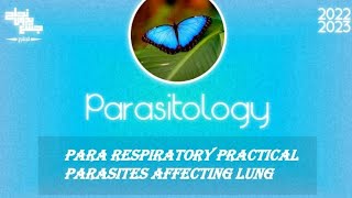 pract Paragonimushouse dust mite amp echinococcus granulosus amp larva affecting lung parasitology [upl. by Yale]