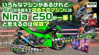 初めてのモーターサイクルには”Ninja 250”が一番オススメ！…と言えるのは何故？ モリワキ全面協力によるカスタムのススメamp全方位インプレレビューも！ Kawasaki バイク Ninja [upl. by Enieledam]