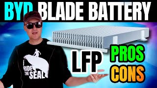 BYD Blade Battery Pros and Cons Is LFP The Winning Tech [upl. by Greyso]