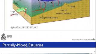 Estuary Types [upl. by Oos754]