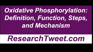 Oxidative Phosphorylation Definition Function Steps and Mechanism [upl. by Corley434]