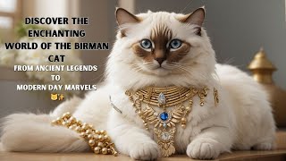 ✨ The Mystical Birman Cat Ancient Legends amp Modern Charms [upl. by Inaliak283]