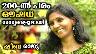 200ൽ പരം ഔഷധ സസ്യങ്ങളുമായി ഷീബ രാജു  Rare Herbal PlantsampMedicinal Plants And Uses [upl. by Kaslik857]