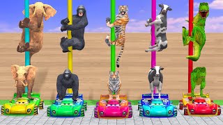 Basket Ball Game Game With Cow Elephant Tiger Gorilla Buffalo TRex Wild Animal Escape Cage Game [upl. by Shushan]