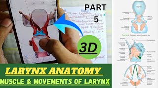 Muscles of Larynx  Movements of Larynx  Larynx Anatomy 3d  Part 5 [upl. by Ashil]