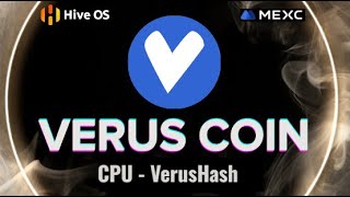 VERUS VRSC CPU TOP PROFIT Easy HIVEOS Mining Tutorial  Pool  Wallet [upl. by Yunick404]