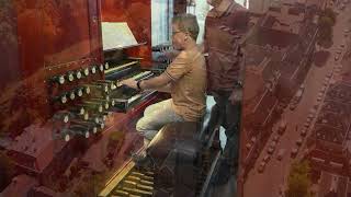 Luc Budding  Toccata amp Fuga Dminor  JS Bach  St Maartenskerk Zaltbommel [upl. by Lowson564]