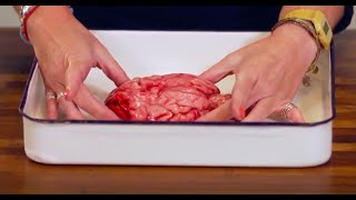 Brain Dissection Biology amp Psychology GCSE Alevel NEET Practical Skills [upl. by Baalbeer826]