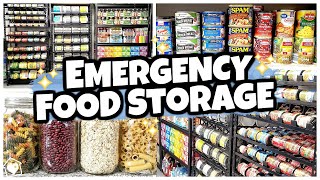 20 Foods I Keep in MY SECRET PREPPER PANTRY Food Storage 101 [upl. by Leehar]