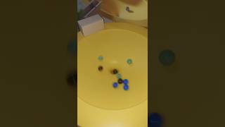 🐢🟢⚪️ Marble Run Motion  HABA  Big Speed Circle Chrom  Habee  Funnel oddlysatisfying ASMR 🦄🟡🔴 [upl. by Loeb]