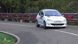 Sergio Lora  XXXII Subida a Trassierra 2023 Peugeot 206 [upl. by Warfourd]