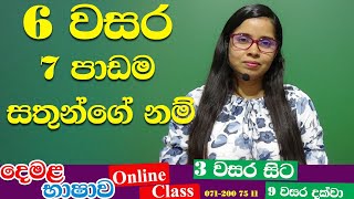 grade 6 lesson 07 animals name  tamil online class grade 6  tamil with sureka [upl. by Kisung810]