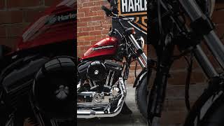 2019 HarleyDavidson FortyEight Special [upl. by Aneleh32]