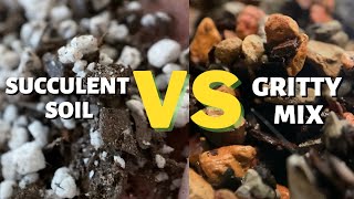 Best Soil for Succulents amp Cacti  Bonsai Jack Gritty Mix or Miracle Gro Succulent Soil [upl. by Asseral]