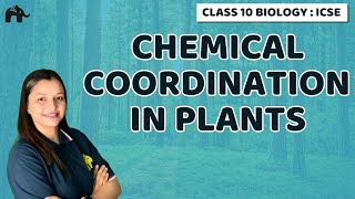 Chemical Coordination in Plants  Chapter 7 Class 10 ICSE Biology  Selina [upl. by Esnohpla]