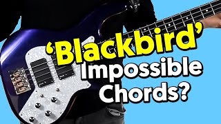 How To Play Blackbird Chords On Bass  Classic Beatles Chill Out [upl. by Sotnas]