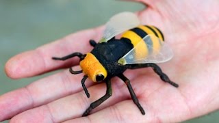 GIGANTIC WASP [upl. by Llert832]